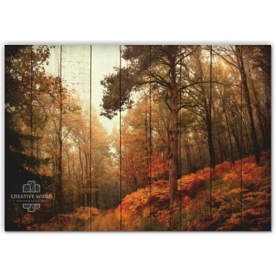 Картины Природа - Осенний лес, Природа, Creative Wood Картины Природа - Осенний лес, Природа, Creative Wood